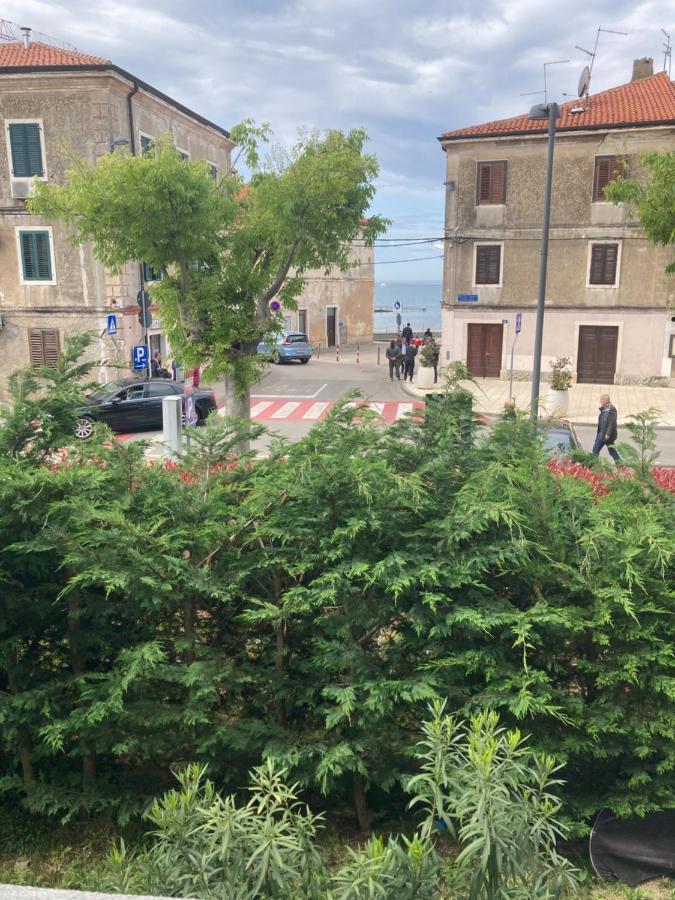 App Goga Umag